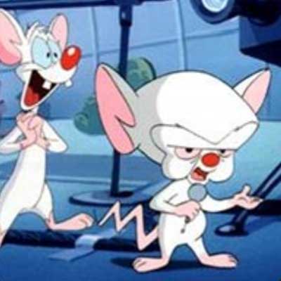 guess the 90s answers Pinky and the Brain  